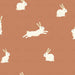 Bunny Rabbits On Terracotta