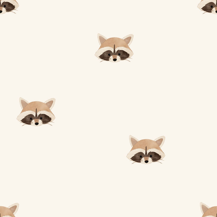 Raccoon 02