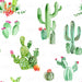 Cactus And Succulents