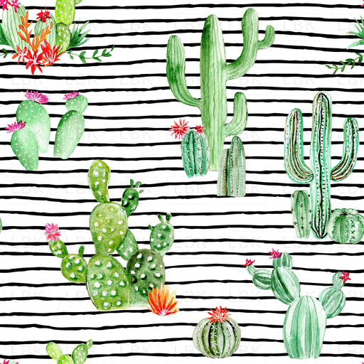 Cactus And Succulents On Black White Stripes