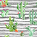 Cactus And Succulents On Black White Stripes