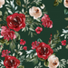 Christmas Blooms Florals Isolated On Dark Green