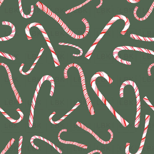 Christmas Candy Canes On Forest Olive