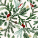 Christmas Pine And Red Berry Garland Foliage On Ecru White