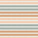 Claire Muted Multi-Colored Stripe
