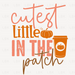 Cutest Little Pumpkin In The Patch -