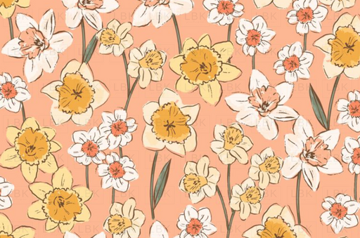 Daffodil - In - Peach