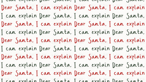 Dear Santa I Can Explain