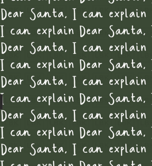Dear Santa I Can Explain On Evergreen