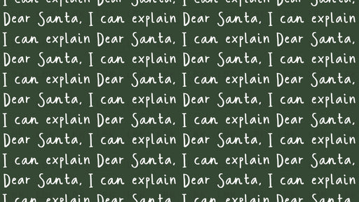 Dear Santa I Can Explain On Evergreen