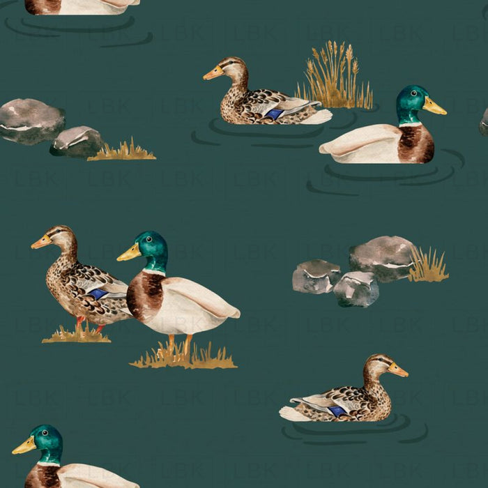 Ducks_Teal