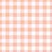 Easter Bunny Pink Gingham