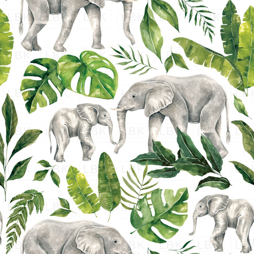 Elephant_Foliage