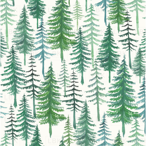 Evergreen Christmas Pine Tree