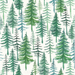 Evergreen Christmas Pine Tree