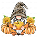 Fall Gnome - Pumpkin And Leopard