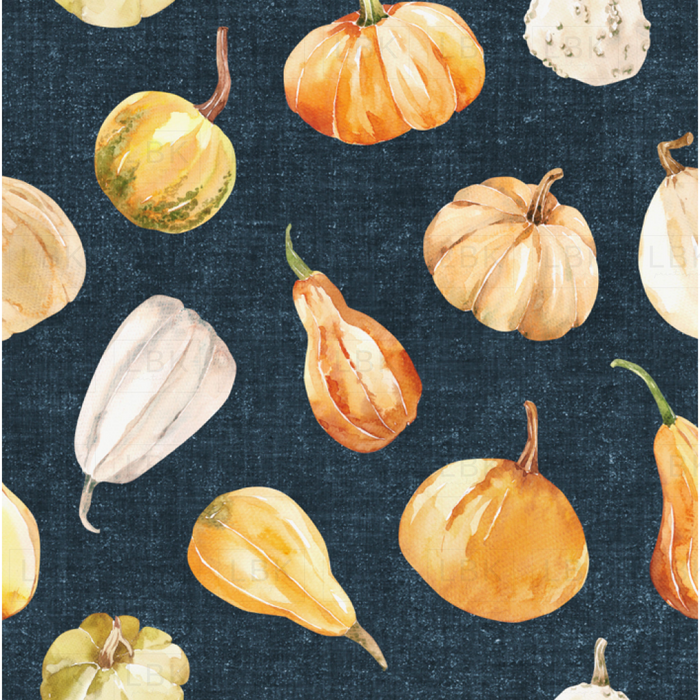 Fall Gourds On Oxford Blue