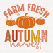 Farm Fresh Autumn Harvest- Distressed