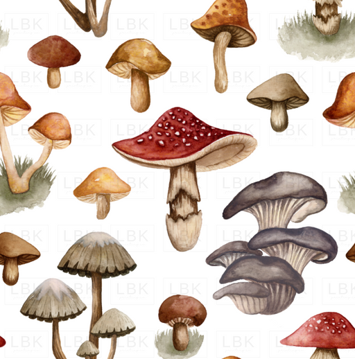 Fungi Fantasy