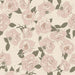 Garden Roses - Ivory Odessa