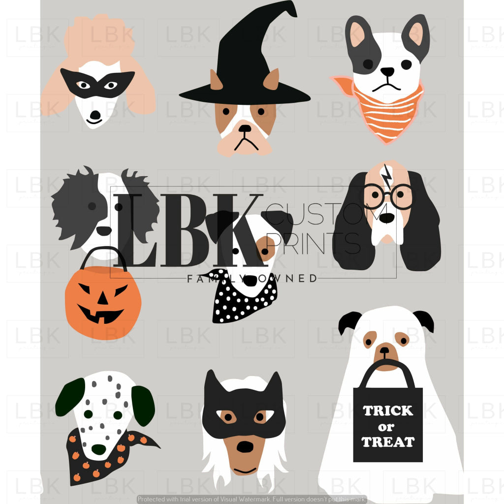 Halloween Hey Cute