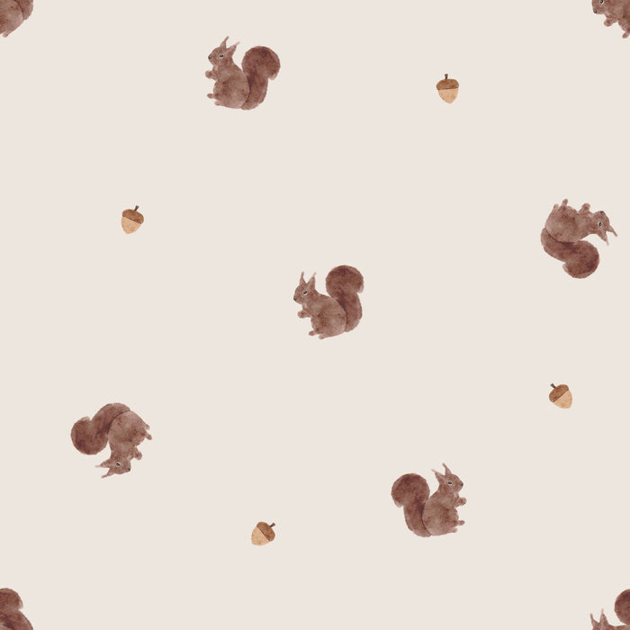 Little Squirrel 02