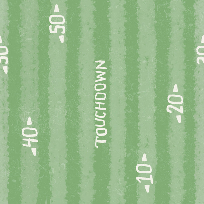 light green field touchdown stripe