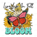 Live Life In Full Bloom - Butterfly