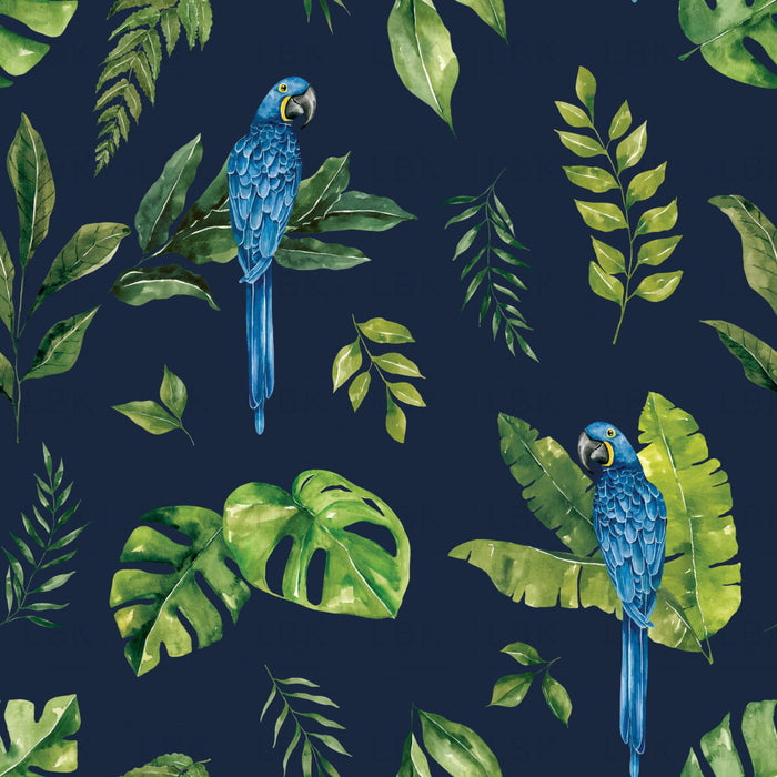 Macaw_Navyblue