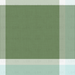 Mossy Green And Baby Blue Plaid