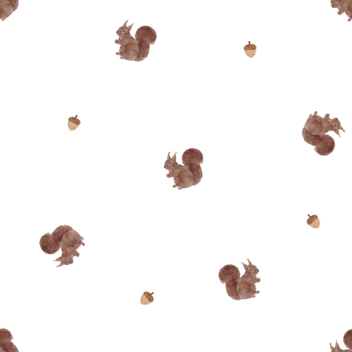 Little Squirrel 01