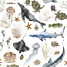 Ocean Fauna