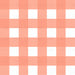 Peachy Gingham