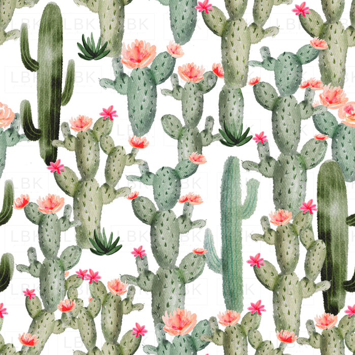 Pink Cactus Floral