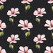 Pink Flowers Black