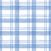 Plaid Blue