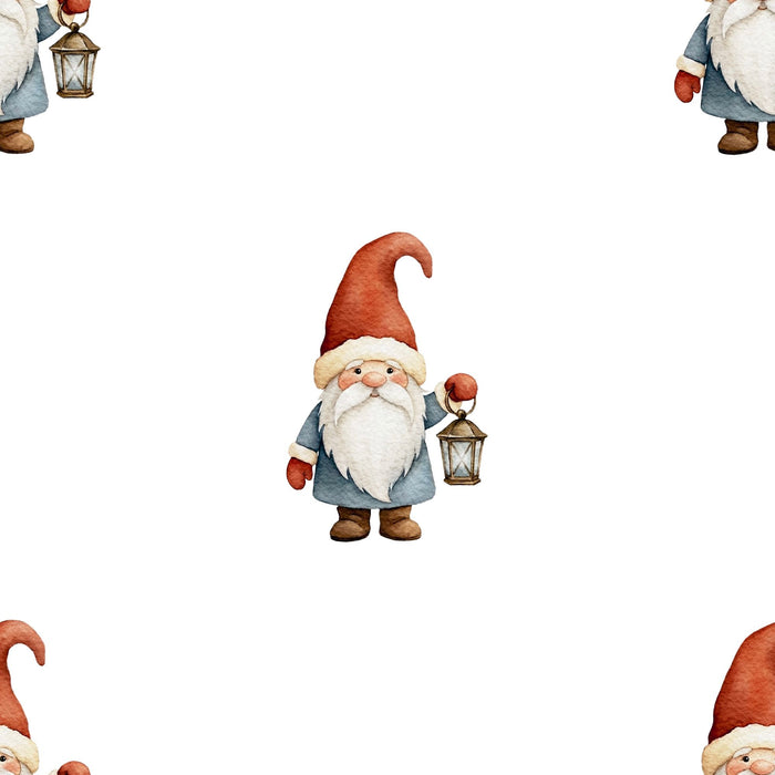 Cute Gnome