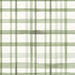 Rain Coriander Watercolor Plaid