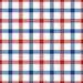 Red White And Blue Gingham