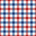 Red White And Blue Large Gingham