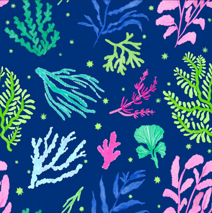 Reef Rhapsody deep ocean multi