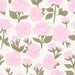 Roses Light Pink And Sage-01