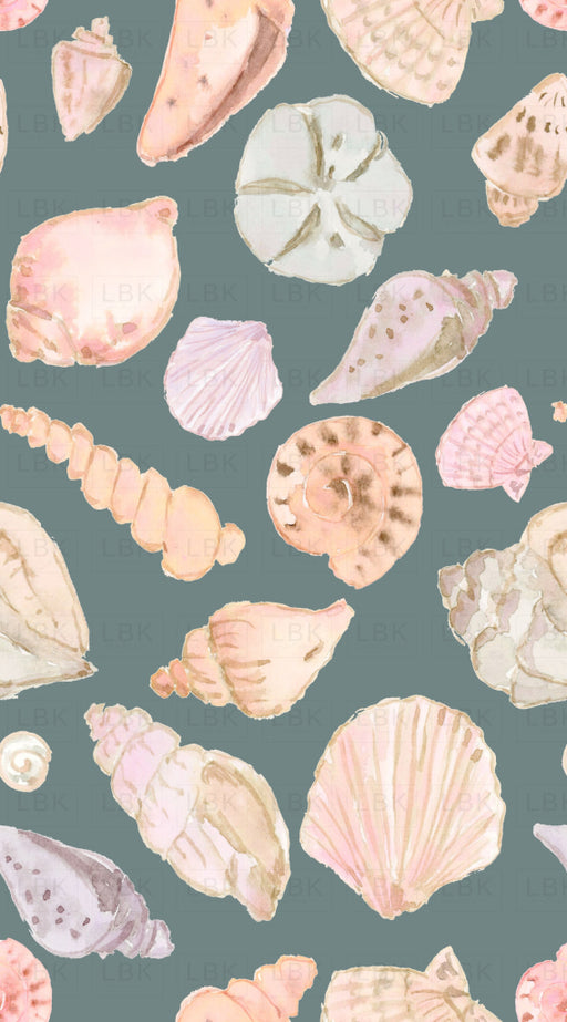 Seashells In Deepsea