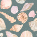 Seashells In Deepsea