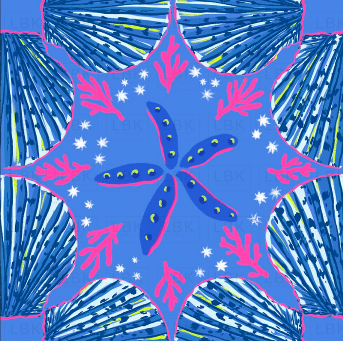 Shells in rhythm sea