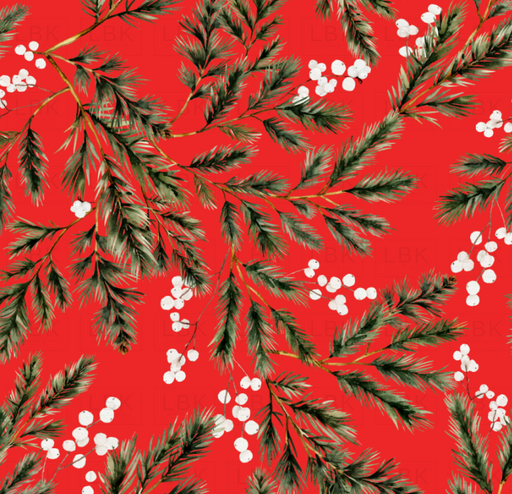 Snowberry Winter Foliage On Pomegranate