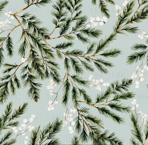 Snowberry Winter Foliage On Powder Ash