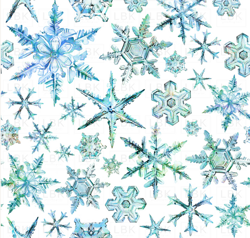 Snowflakes Ice Crystals