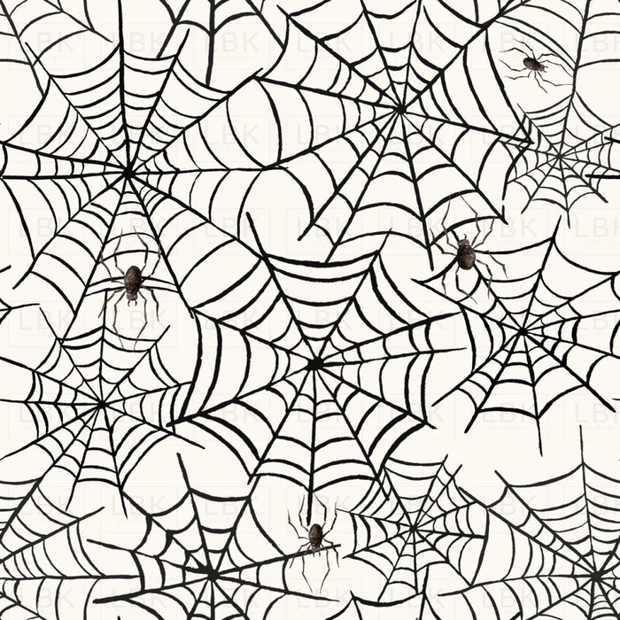 Spider Web Halloween