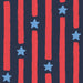 Stars & Stripes Midnight Blue and Poppy Red